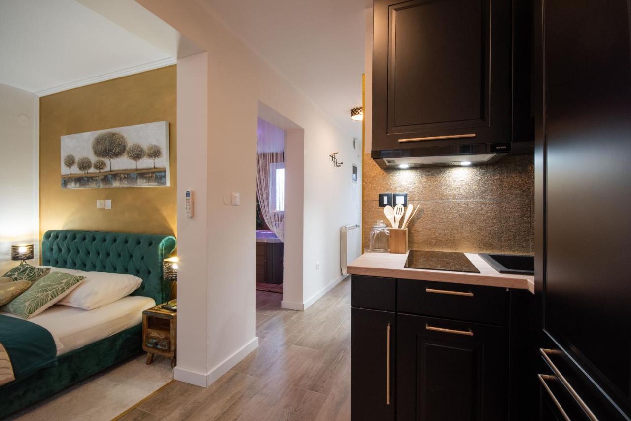 Wellness Studio D'Or - Exclusive New Apartment With Whirlpool, Sauna, Sunny Terrace, Private Parking Poreč Eksteriør billede